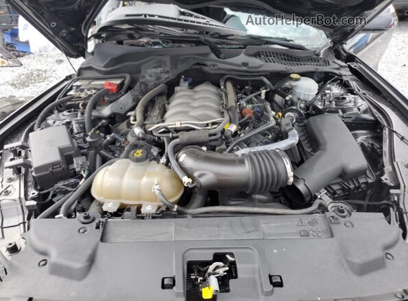 1FA6P8CF7L5176416 2020 FORD MUSTANG Black Սալոնի հետևի տեսք