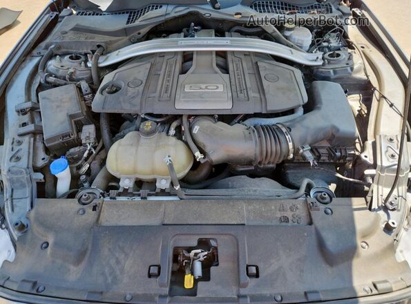 1FA6P8CF9L5161836 2020 FORD MUSTANG Gray უკანა სალონის ხედი