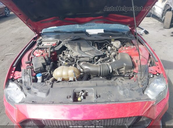 1FA6P8CFXM5113621 2021 FORD MUSTANG Бордовый Вид сзади