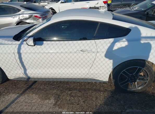 1FA6P8TH0N5102002 2022 FORD MUSTANG Белый Панорамный вид салона 360°