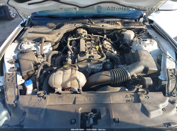 1FA6P8TH0N5102002 2022 FORD MUSTANG Белый Вид сзади
