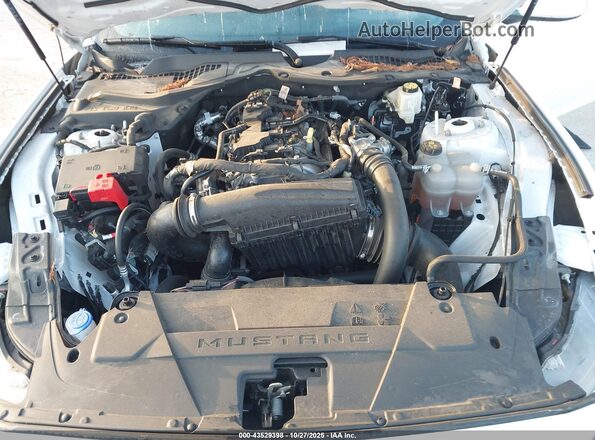 1FA6P8TH0R5105570 2024 FORD MUSTANG White Հետևի տեսք