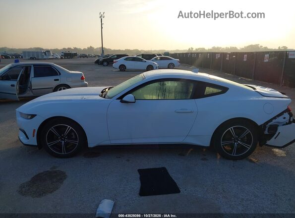 1FA6P8TH0R5105570 2024 FORD MUSTANG White Սալոնի 360 աստիճան տեսք