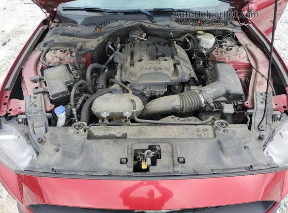 1FA6P8TH2L5132843 2020 FORD MUSTANG Red Սալոնի հետևի տեսք