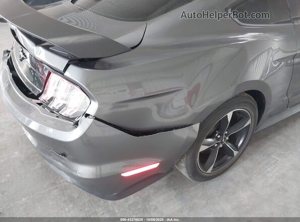 1FA6P8TH4M5114569 2021 FORD MUSTANG Gray Front view