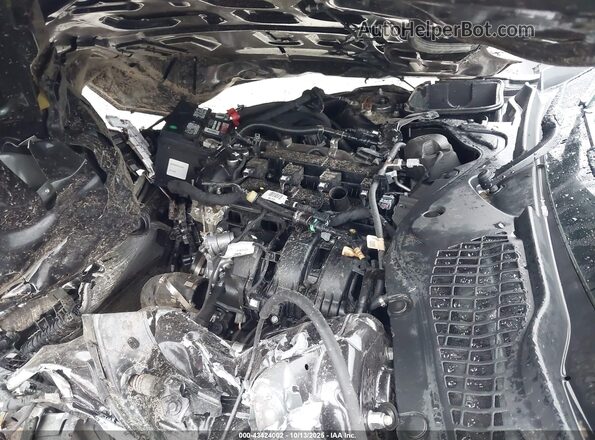1FA6P8TH4P5108369 2023 FORD MUSTANG Black Вид ззаду