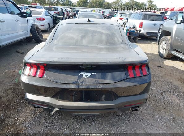 1FA6P8TH7S5113820 2025 FORD MUSTANG Black 