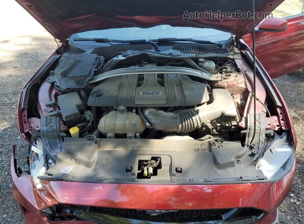 1FATP8FF3K5204869 2019 FORD MUSTANG Red Вид задньої частини салону