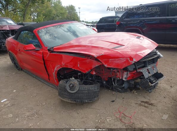 1FATP8UH1K5205278 2019 FORD MUSTANG Red Widok z przodu