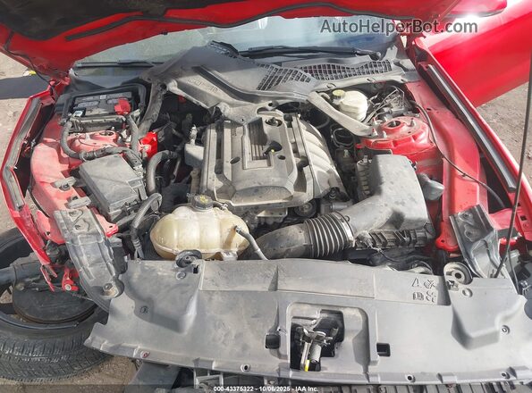 1FATP8UH1K5205278 2019 FORD MUSTANG Red Widok z tyłu