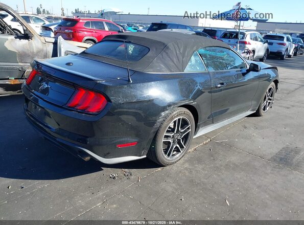 1FATP8UH1M5116488 2021 FORD MUSTANG Black 