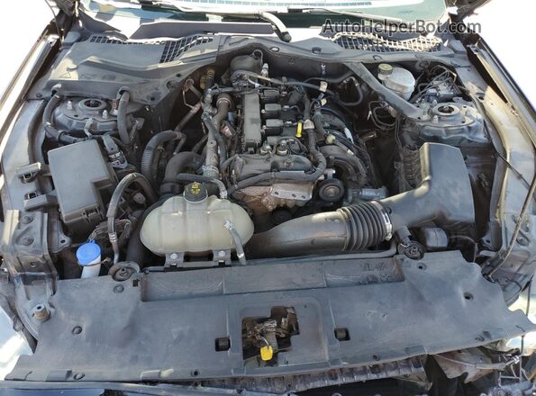 1FATP8UH7M5106256 2021 FORD MUSTANG Black Սալոնի հետևի տեսք