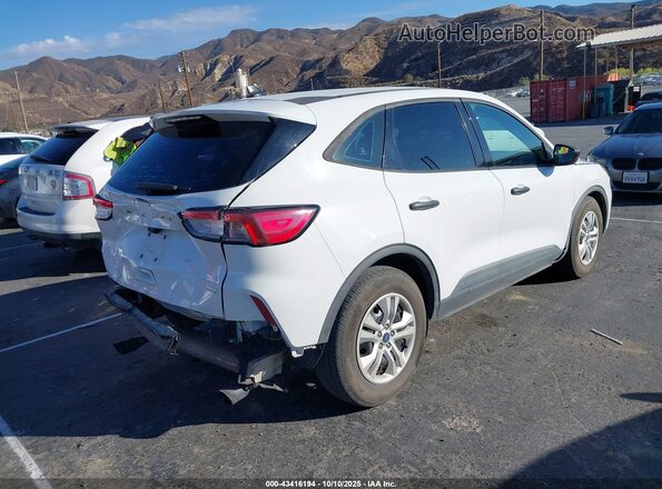 1FMCU0F62LUA35581 2020 FORD ESCAPE Белый Задняя правая четверть