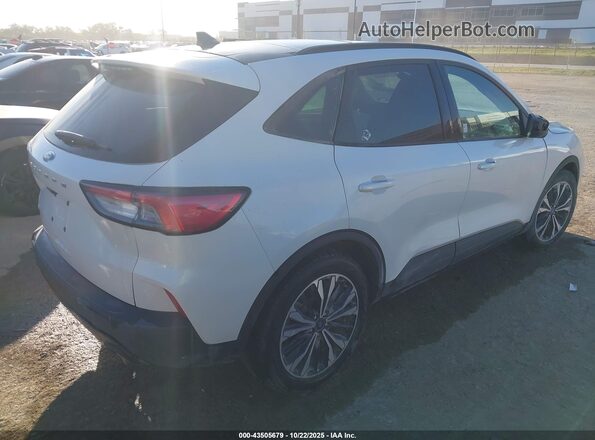 1FMCU0G65NUA05590 2022 FORD ESCAPE Белый Задняя правая четверть