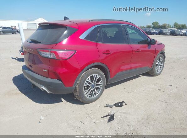 1FMCU0H69LUB01606 2020 FORD ESCAPE Red Задня права чверть