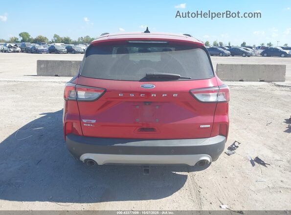 1FMCU0H69LUB01606 2020 FORD ESCAPE Red 