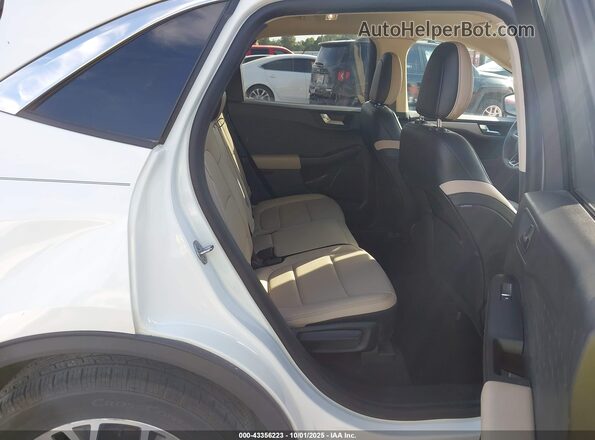 1FMCU9H65LUB03647 2020 FORD ESCAPE White Vista de la etiqueta del VIN