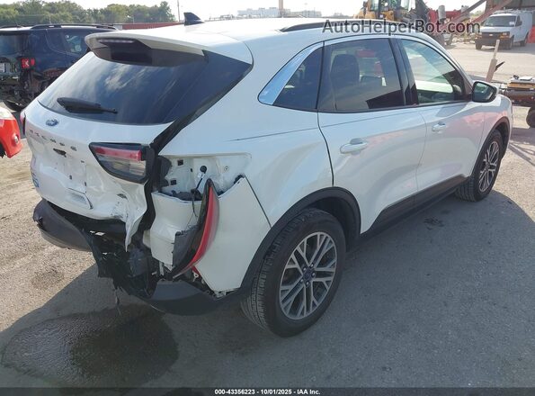 1FMCU9H65LUB03647 2020 FORD ESCAPE White Trasero derecho