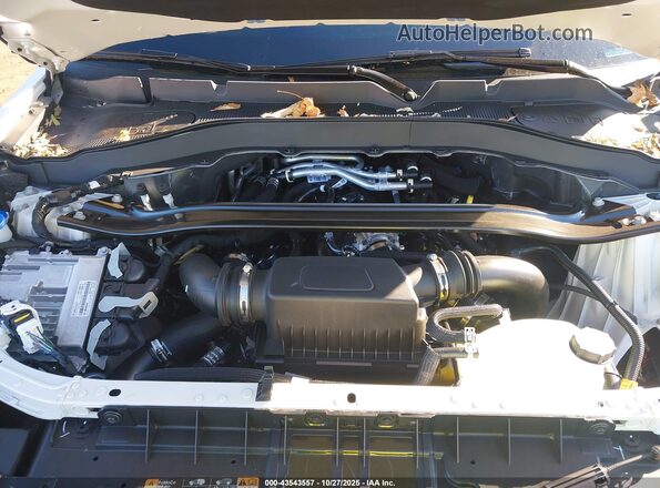 1FMWK8GC9SGC64083 2025 FORD FORD EXPLORER White Вид ззаду