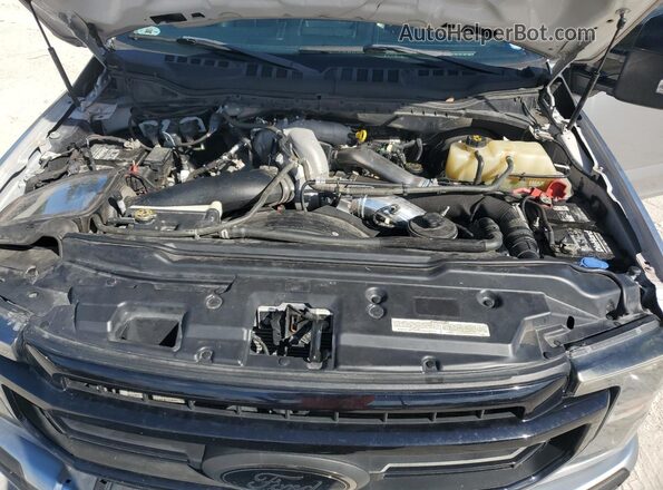 1FT8W2BT6MEE04045 2021 FORD F250 Silver Սալոնի հետևի տեսք