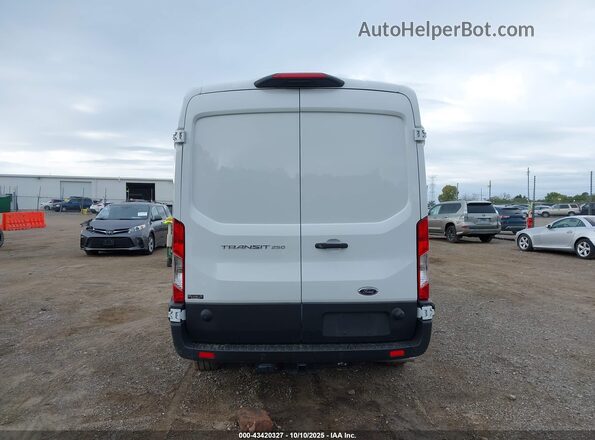 1FTBR1C8XRKB73046 2024 FORD TRANSIT-250 White 