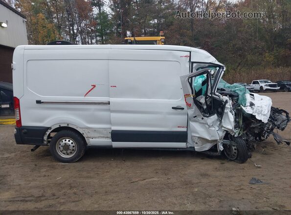 1FTBR2C87LKA40385 2020 FORD TRANSIT-250 Белый Вид задней части салона