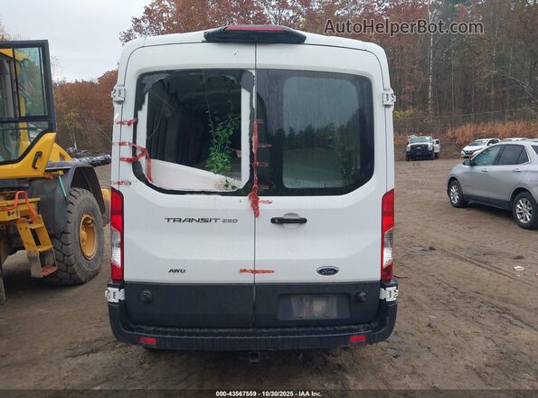 1FTBR2C87LKA40385 2020 FORD TRANSIT-250 Белый 