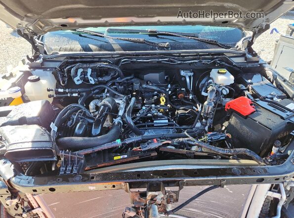 1FTER4HH0RLE58243 2024 FORD RANG Gray უკანა სალონის ხედი