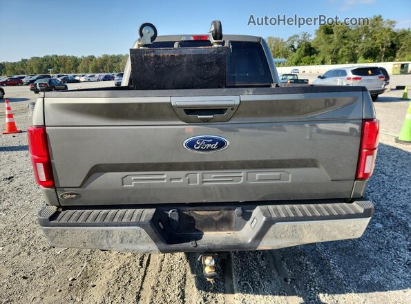1FTEW1C55LKD26919 2020 FORD F150 Gray Հետևի տեսք