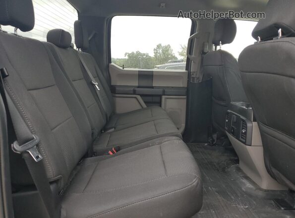 1FTEW1CP3LFB88517 2020 FORD F150 Gray უკანა სავარძლების ხედი