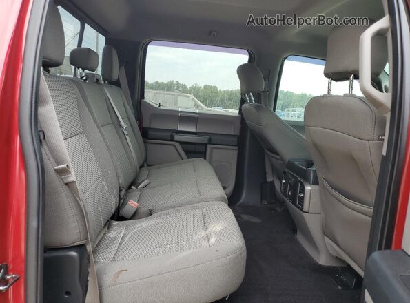 1FTEW1CPXGKD50298 2016 FORD F150 Красный Вид задних сидений