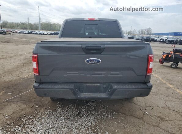 1FTEW1E55LFC46963 2020 FORD F150 Gray უკანა ხედი