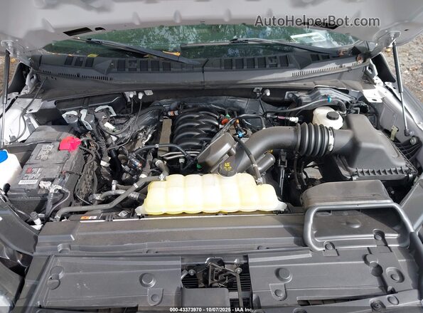 1FTEW1E57LFC31946 2020 FORD F150 Silver Widok z tyłu