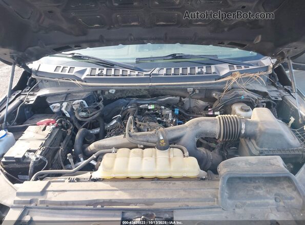 1FTEW1EP7LFA72847 2020 FORD F150 Gray Widok z tyłu