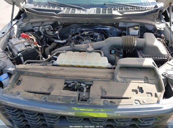 1FTEW2KP3RKE30522 2024 FORD F150 Серый Вид сзади