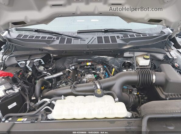 1FTEX1EP9PKF13100 2023 FORD F150 Gray Հետևի տեսք