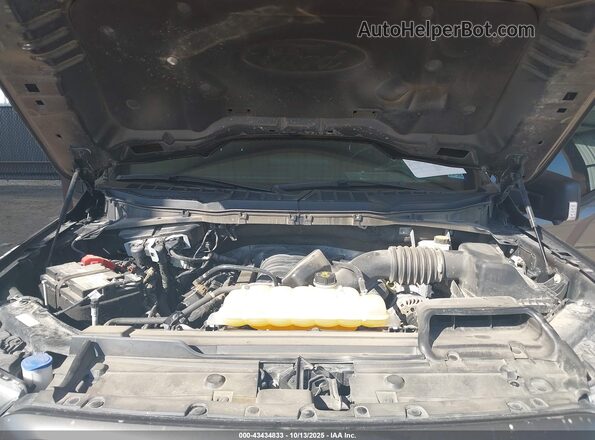 1FTFW1E55NFB31691 2022 FORD F150 Gray Вид ззаду