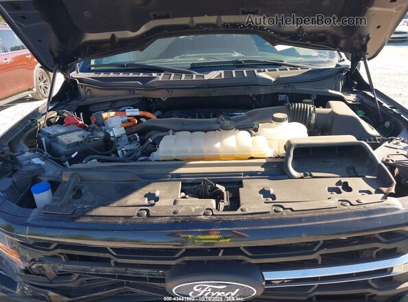 1FTFW3LD1RFB05679 2024 FORD F150 Gray Widok z tyłu