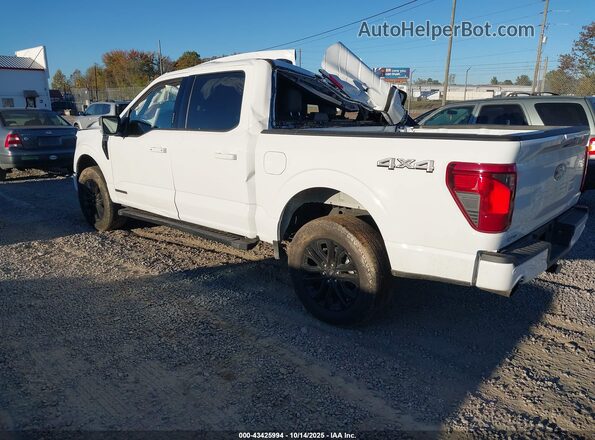 1FTFW3LD6RFB95962 2024 FORD F150 White Tył lewy
