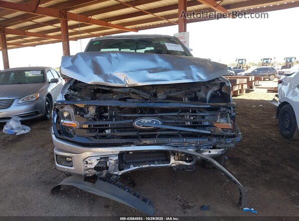 1FTFW3LD7SFA53013 2025 FORD F150 Gray Դիմացի տեսք