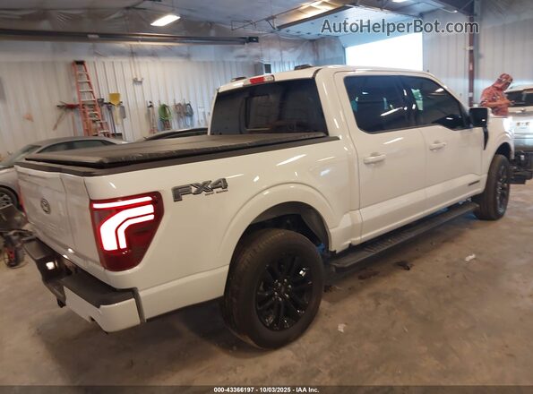 1FTFW5LD1SFA08192 2025 FORD F150 White Tył prawy