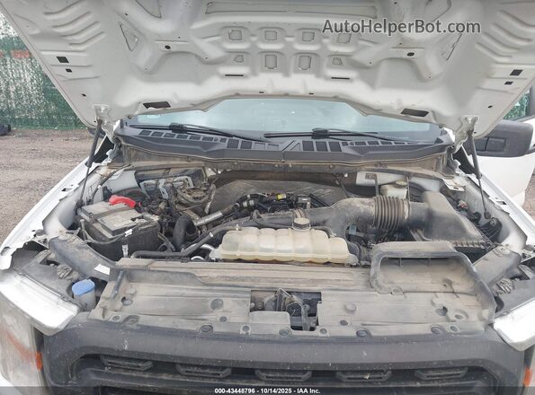 1FTMF1CP8NKD19608 2022 FORD F150 Белый Вид сзади
