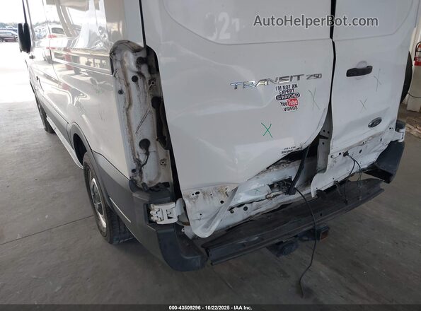 1FTYR1CM9GKB32217 2016 FORD TRANSIT-250 Белый Вид спереди