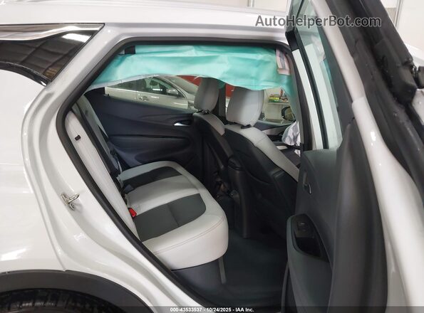 1G1FZ6S09L4114388 2020 CHEVROLET BOLT White Vista de la etiqueta del VIN