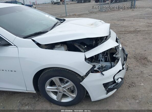 1G1ZB5ST5RF138139 2024 CHEVROLET MALIBU White 