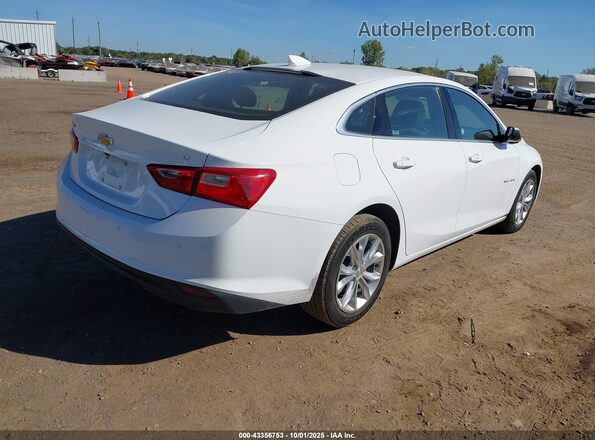 1G1ZD5ST5RF164136 2024 CHEVROLET MALIBU White Tył prawy
