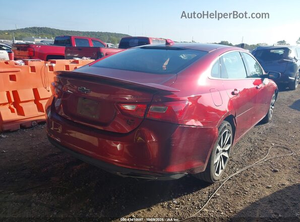 1G1ZG5ST3RF158777 2024 CHEVROLET MALIBU Maroon Tył prawy