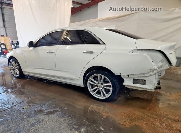 1G6DA5RK9R0127569 2024 CADILLAC CT4 White Tył lewy
