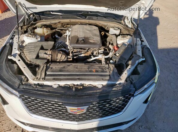 1G6DJ5RK2L0142499 2020 CADILLAC CT4 White Widok wnętrza z tyłu