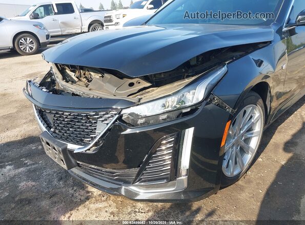 1G6DM5RKXR0115597 2024 CADILLAC CT5 Black 